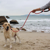HKM-2233021 Retractable Explosion-Proof Pet Leash for Small and Large Dogs, 1.6m Length, Available in Red, Blue, Black