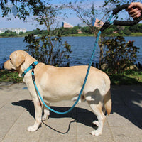 HKM-2233021 Retractable Explosion-Proof Pet Leash for Small and Large Dogs, 1.6m Length, Available in Red, Blue, Black