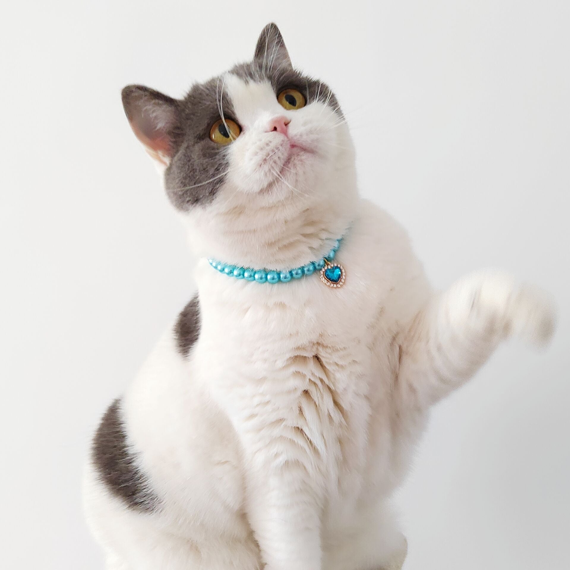 HKM-223443 Colorful Pearl Heart Pendant Cat Necklace for Pets - Available in Purple, Red, Blue, Yellow