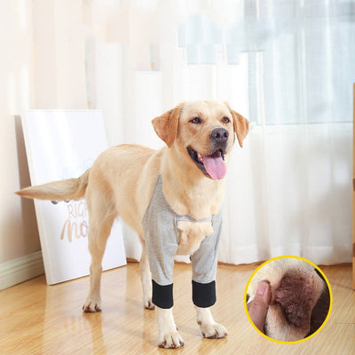 HKM-2235837 Pet Knee Pads for Cold and Warmth Protection - Cotton and Polyester, Multiple Sizes Available