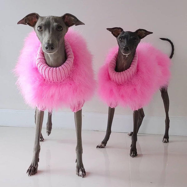 HKM-2242749 Luxury Dog Sweater for Autumn and Winter with Turkey Feather Design