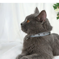 HKM-224275 Anti bite dog collar