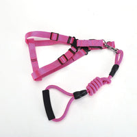 HKM-2244541 Adjustable Nylon Traction Belt for Small, Medium, and Large Dogs ¨C Available in Multiple Colors