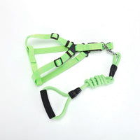 HKM-2244541 Adjustable Nylon Traction Belt for Small, Medium, and Large Dogs ¨C Available in Multiple Colors