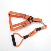 HKM-2244541 Adjustable Nylon Traction Belt for Small, Medium, and Large Dogs ¨C Available in Multiple Colors