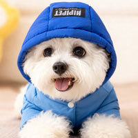 HKM-2249277 Winter Padded Snowsuit for Small and Medium Dogs with Hood and Pocket