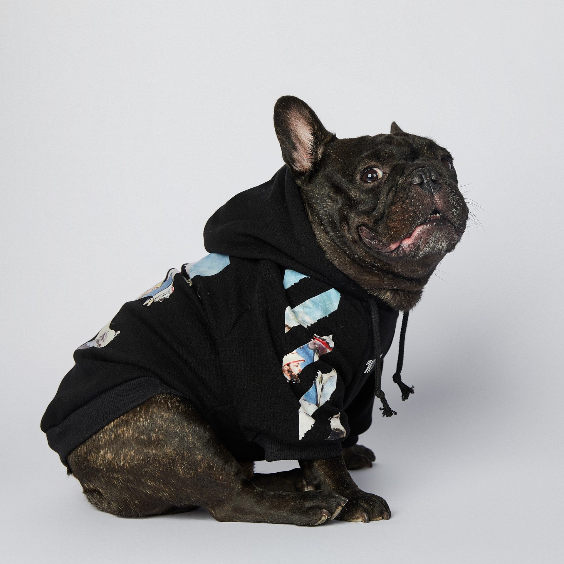 HKM-2255549 Schnauzer Pet Clothes in Oil Painting Design – Available Sizes M to 4XL