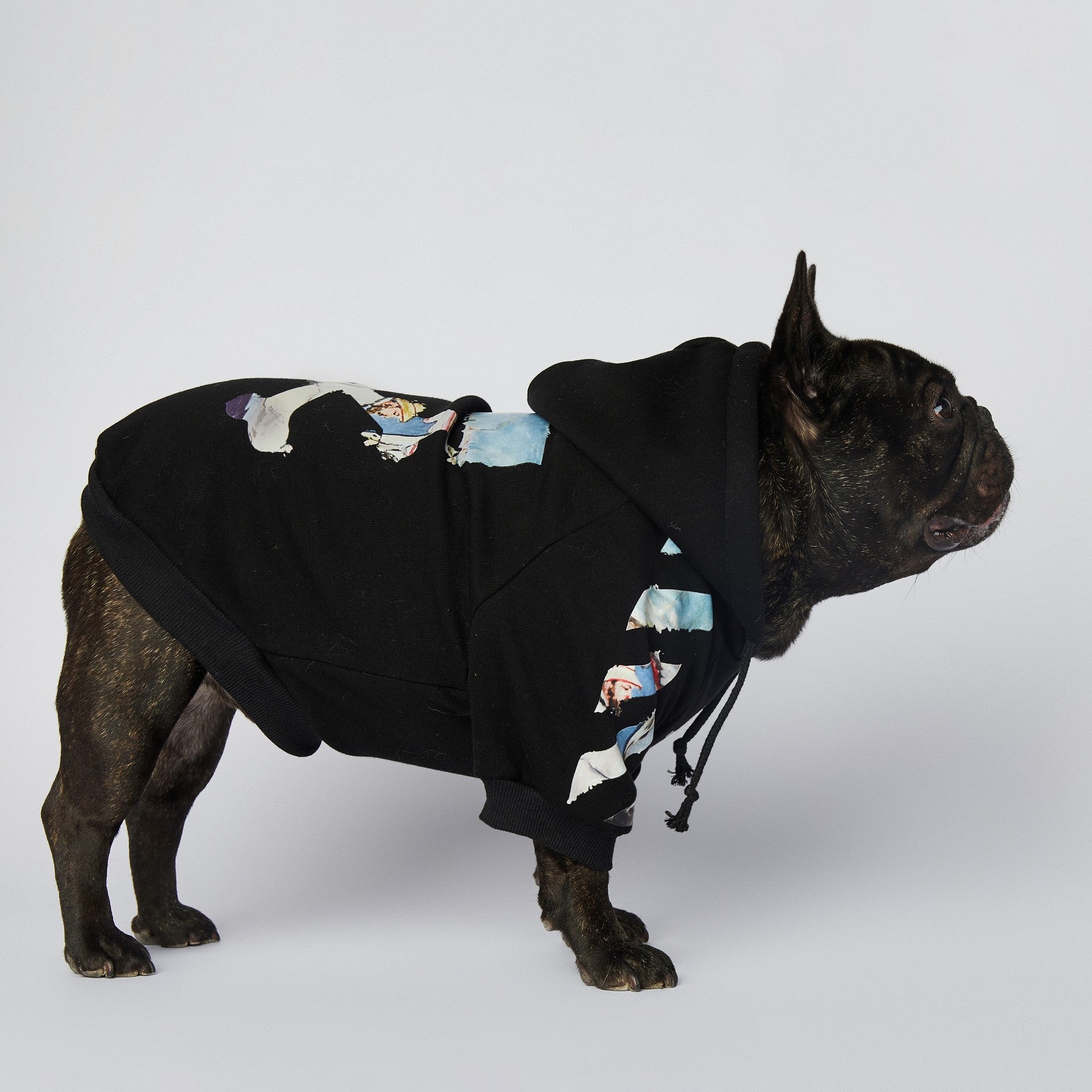 HKM-2255549 Schnauzer Pet Clothes in Oil Painting Design – Available Sizes M to 4XL
