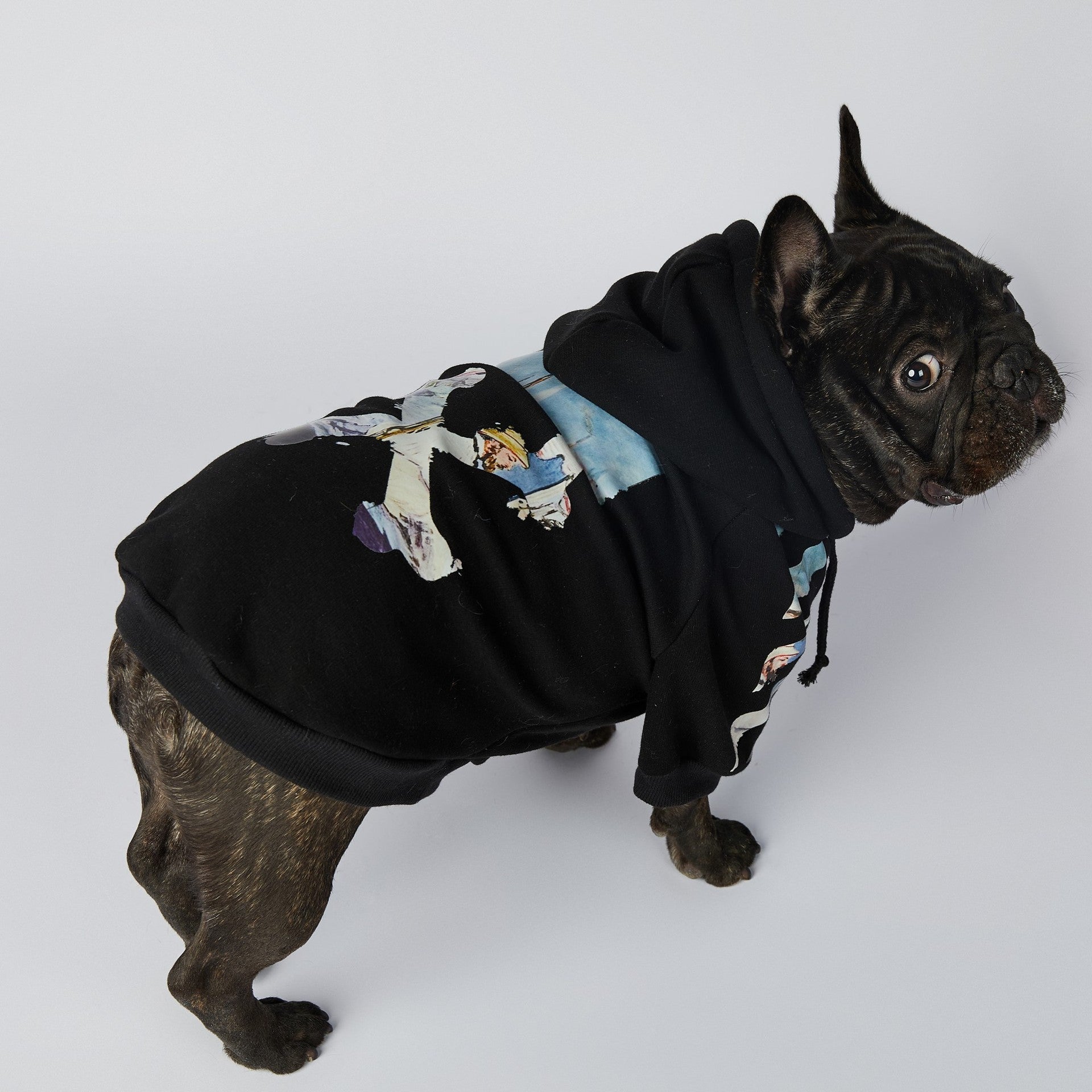 HKM-2255549 Schnauzer Pet Clothes in Oil Painting Design – Available Sizes M to 4XL