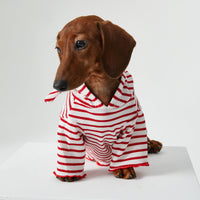 HKM-2256829 Striped Hooded Pet Apparel for Cats and Dogs - Two Feet Design, Available in Red and Blue, Multiple Sizes