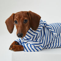 HKM-2256829 Striped Hooded Pet Apparel for Cats and Dogs - Two Feet Design, Available in Red and Blue, Multiple Sizes