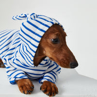 HKM-2256829 Striped Hooded Pet Apparel for Cats and Dogs - Two Feet Design, Available in Red and Blue, Multiple Sizes