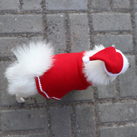 HKM-2262589 Pet Cloak and Hat Set in Red - Stylish Costume for Dogs