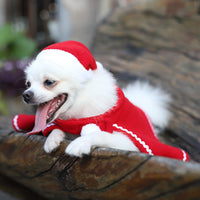 HKM-2262589 Pet Cloak and Hat Set in Red - Stylish Costume for Dogs