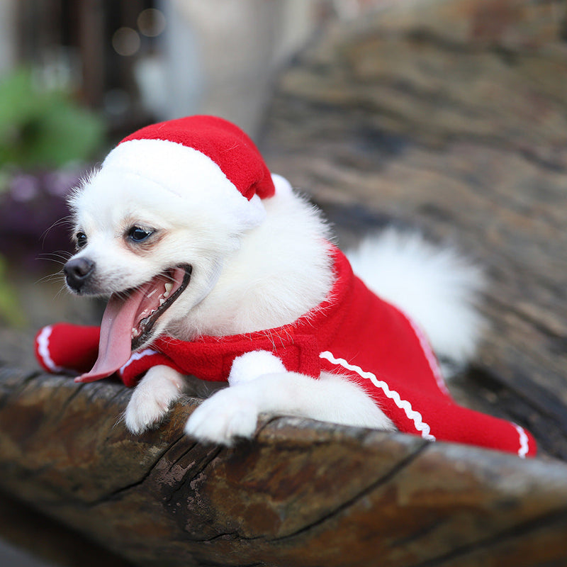 HKM-2262589 Pet Cloak and Hat Set in Red - Stylish Costume for Dogs