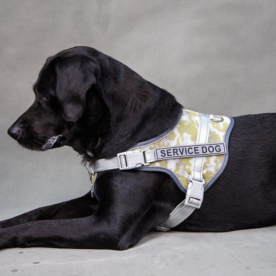 HKM-2265277 Colorful Reflective Pet Harness with Neck Protection and Anti-Strangulation Features
