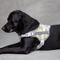 HKM-2265277 Colorful Reflective Pet Harness with Neck Protection and Anti-Strangulation Features