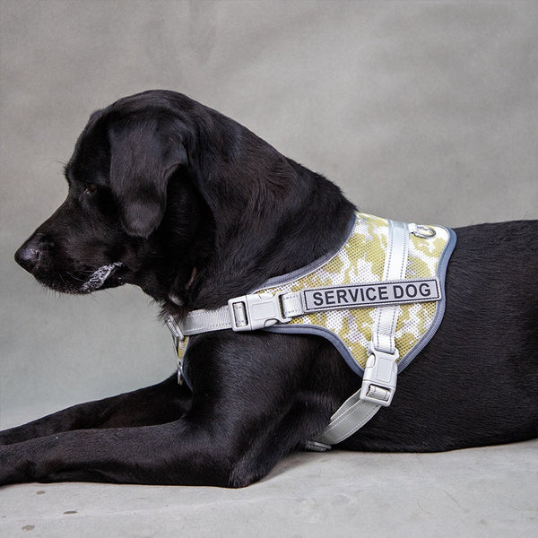 HKM-2265277 Colorful Reflective Pet Harness with Neck Protection and Anti-Strangulation Features