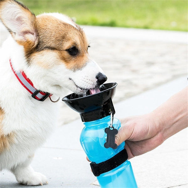 HKM-2267837 Portable Pet Drinking Cup ¨C Lightweight Water Bottle for Outdoor Use, 21.5cm - Ideal for Hydrating Pets on the Go