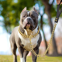 HKM-2271549 Golden Stainless Steel Pet Dog Leash for Small to Medium Breeds