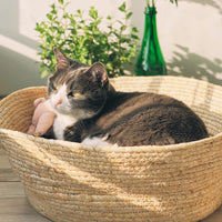 HKM-2271805 Rattan Cat Nest for All Seasons - 35cm Diameter, Comfortable Corn Skin Knitting with PP Cotton