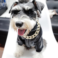 HKM-2275901 Velvet Zipper Stretch PU Leather Dog Clothes for Schnauzers - Black, Two-Legged Design