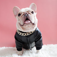 HKM-2275901 Velvet Zipper Stretch PU Leather Dog Clothes for Schnauzers - Black, Two-Legged Design