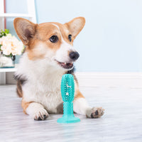 HKM-2278333 Durable Dog Toothbrush and Molar Cleaning Stick with Suction Cup for Tartar Removal and Interactive Play
