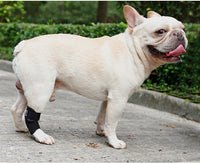 HKM-2285501 Anti-Lick Joint Fixation Recovery Strap for Dogs - Durable Diving Material in Black