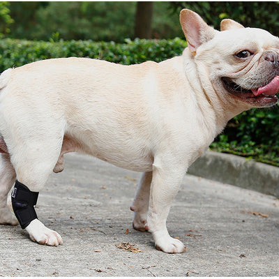 HKM-2285501 Anti-Lick Joint Fixation Recovery Strap for Dogs - Durable Diving Material in Black