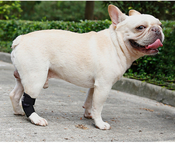 HKM-2285501 Anti-Lick Joint Fixation Recovery Strap for Dogs - Durable Diving Material in Black