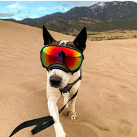 HKM-2290621 Dog Skiing Goggles - PC Material, Sizes S to L, Perfect for Outdoor Adventures