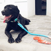 HKM-2292797 Hand-Woven Cotton Dog Walking Leash - 100CM, Colorful Hawaiian Design