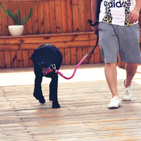 HKM-2292797 Hand-Woven Cotton Dog Walking Leash - 100CM, Colorful Hawaiian Design