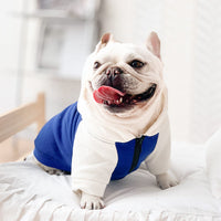 HKM-2295357 Autumn and Winter Velvet Hoodies for Small and Medium Dogs - Multiple Colors Available