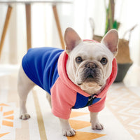 HKM-2295357 Autumn and Winter Velvet Hoodies for Small and Medium Dogs - Multiple Colors Available