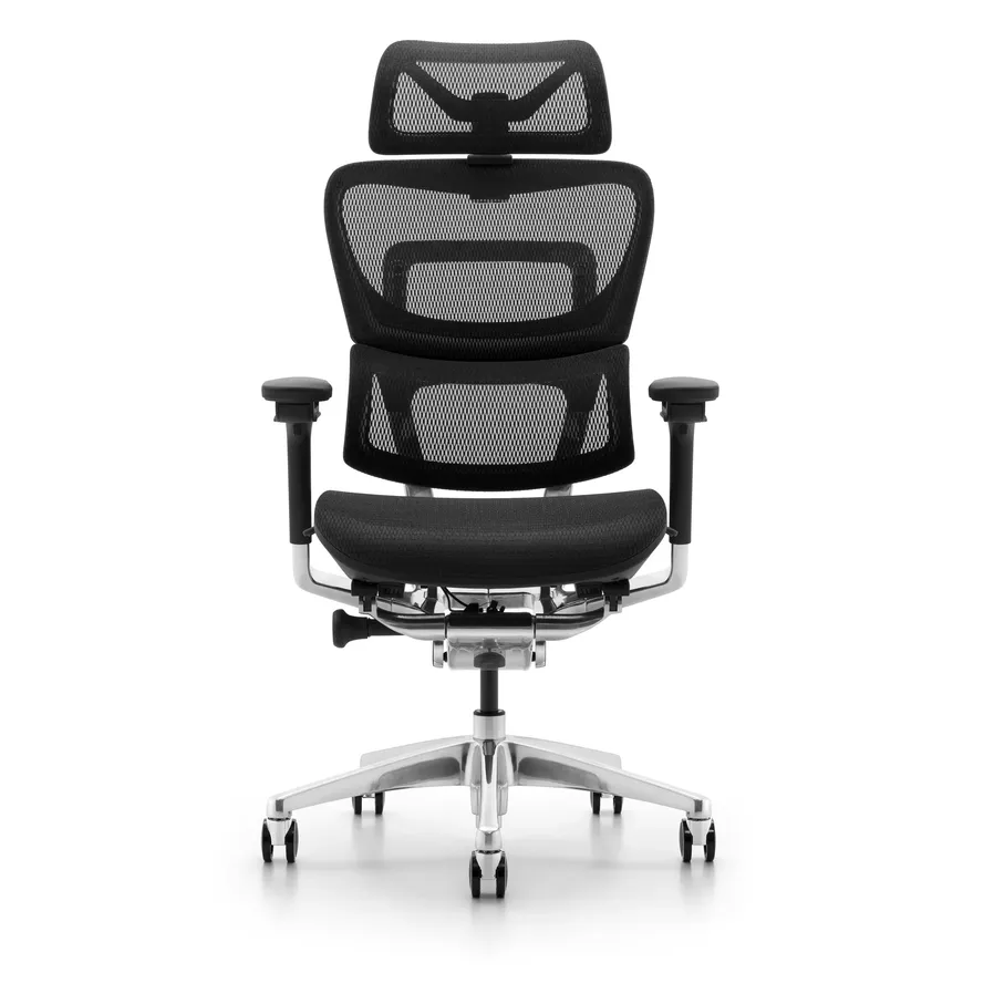 HKM-229779 Ergonomic High Back Executive Office Chair with Adjustable Headrest and Swivel Base