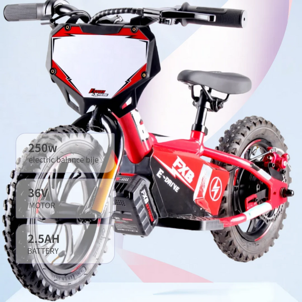 HKM-2499795 12-Inch Electric Mini Balance Bike for Kids 2-6 Years with 250W Brushless Motor, 36V Battery and Rear Disc Brake