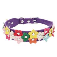 HKM-2318013 Double Row Colorful Flower Dog Collar - Durable PU Material - Adjustable Sizes S & M
