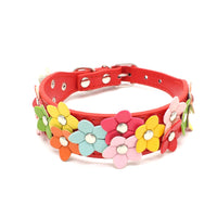 HKM-2318013 Double Row Colorful Flower Dog Collar - Durable PU Material - Adjustable Sizes S & M