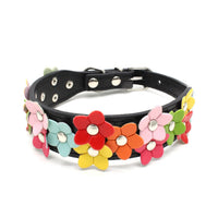 HKM-2318013 Double Row Colorful Flower Dog Collar - Durable PU Material - Adjustable Sizes S & M
