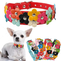 HKM-2318013 Double Row Colorful Flower Dog Collar - Durable PU Material - Adjustable Sizes S & M