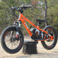 HKM-231891 Electric 36V 5AH 16-Inch No-Pedal Bike for Kids Ages 5-8 with 3-Speed and Hydraulic Disc Brakes