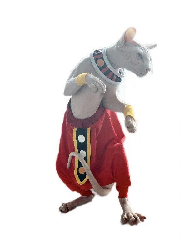 HKM-2322365 Trendy Blue Cat Clothes for Hairless Cats - Comfortable Cotton Suit for All Ages