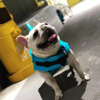 HKM-2324157 Shark Fin Pet Life Jacket for Dogs - Blue & Orange, Multiple Sizes (XS to XXL)