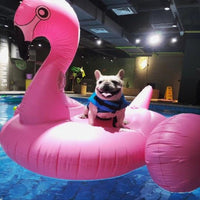 HKM-2324157 Shark Fin Pet Life Jacket for Dogs - Blue & Orange, Multiple Sizes (XS to XXL)