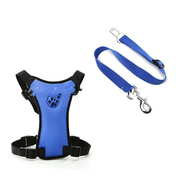 HKM-2331325 Customized Mesh Chest Strap with PP Seat Belts - Sizes S, M, L Available in Multiple Colors