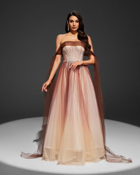 HKM-233171 Elegant Brown Evening Gown for Women - Style EZ25017