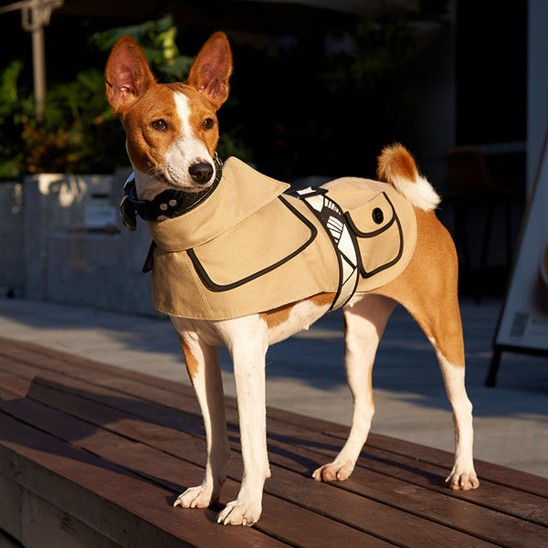 HKM-2335677 Windbreaker Trench Coat for Dogs - Cotton Fabric, Available in Multiple Sizes and Colors