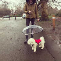 HKM-2337085 Transparent Dog Umbrella with Removable Traction Chain